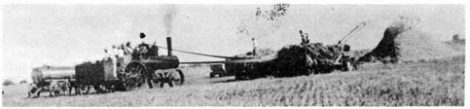 CALAMITY OF OLD BLACK BILL Image